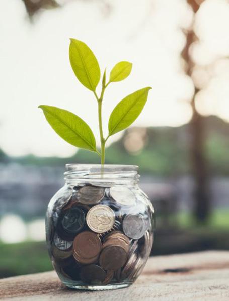 Jar of money with a small sprout growing out of it sitting on an outdoor table